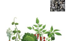 Brescia. Progetto Terra buona